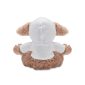 product_5622