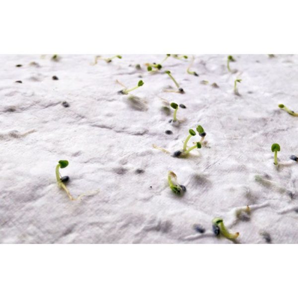 product_5741