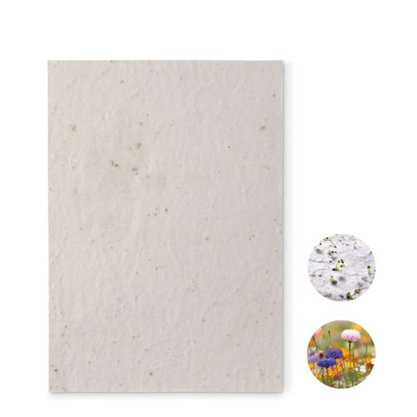 product_5744