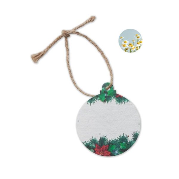 product_6162