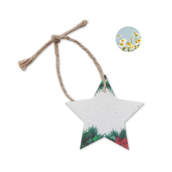 product_6167